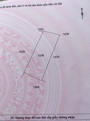 8. Bán đất mặt tiền đường đất,ngang 100 x 150
