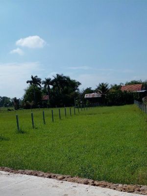 1. Bán đất mặt tiền đường bê tông 5m, ngang 10 x 60
