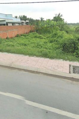 3. Đất xã Tân Mỹ, Lộc Giang, Đức Hòa, Long An