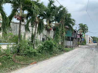 5. Bán đất mặt tiền đường đá xanh 8m, gần đường nhựa tỉnh 825 ( 30m )