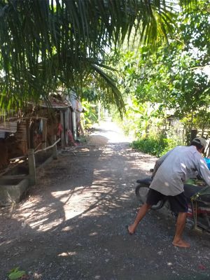 1. Bán đất mặt tiền đường đá xanh, tổng diện tích đất 9,500m2