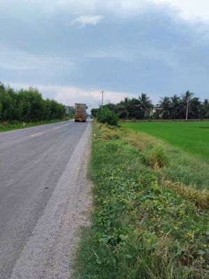 2. Bán đất Măt tiên đường QL,N2