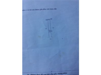 2. Cần bán miếng đất thổ ở Gò Sao Tân Phú. Đường lên chùa cây Dương.