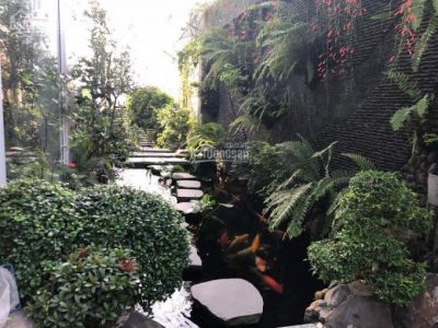 8. BÁN GẤP BIỆT THỰ ĐẠI PHÚC GREEN VILLAS (RẠCH BÀ TÁNH) - FULL NỘI THẤT CAO CẤP