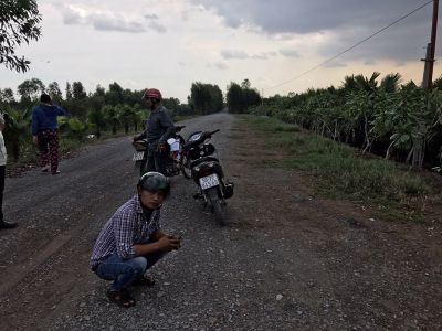 5. Bán đất mặt tiền đường nhựa, xã Mỹ Bình - Đức Huệ, đất vườn đang trồng cây ăn trái