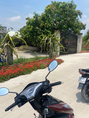 3. Bán đất mặt tiền đường bê tông 5m, ngang 10 x 40