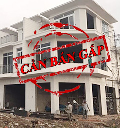 Banner home